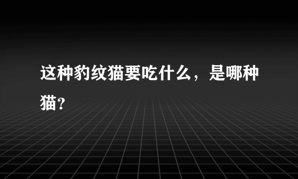 这种豹纹猫要吃什么，是哪种猫？