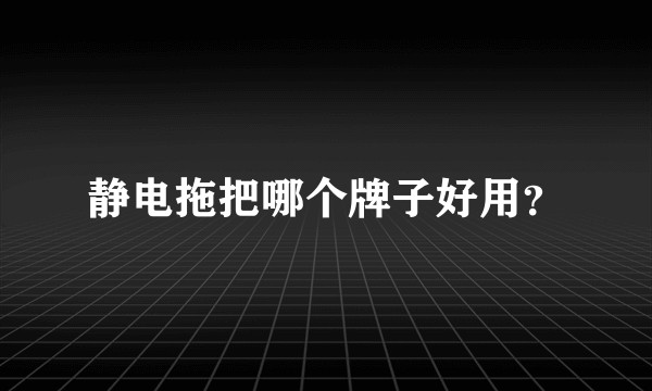 静电拖把哪个牌子好用？