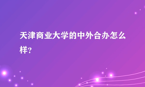 天津商业大学的中外合办怎么样?