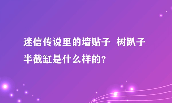 迷信传说里的墙贴子  树趴子  半截缸是什么样的？
