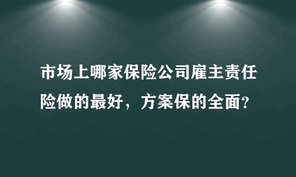 市场上哪家保险公司雇主责任险做的最好，方案保的全面？