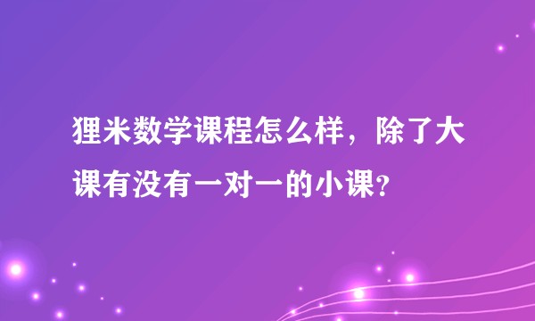 狸米数学课程怎么样，除了大课有没有一对一的小课？
