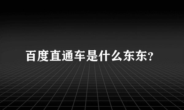 百度直通车是什么东东？