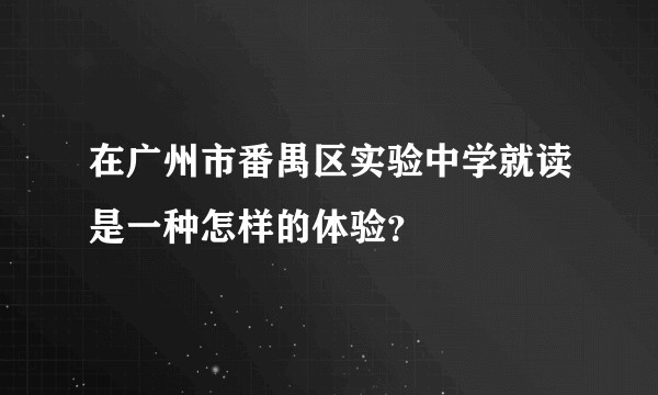 在广州市番禺区实验中学就读是一种怎样的体验？