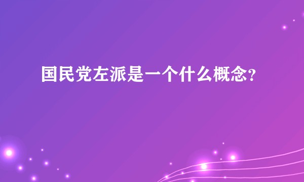 国民党左派是一个什么概念？