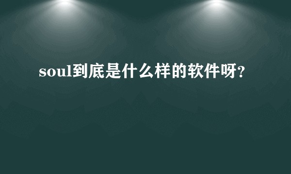 soul到底是什么样的软件呀？