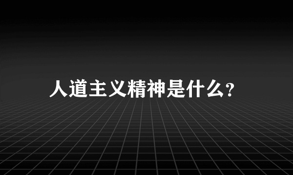 人道主义精神是什么？
