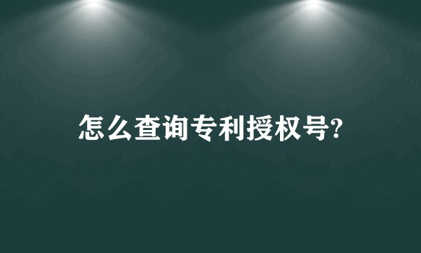 怎么查询专利授权号?